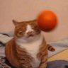 darkgubio17's profile picture
