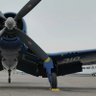 Gullwing profil fotoğrafı