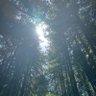Фото профиля Pooled_Resources