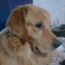 Profilbild von IloPrb