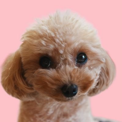 rina_marin523's profile picture