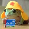 Profilbild von Biofeelia