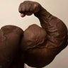 muscleadmirer's profile picture