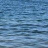 Фото профиля Sunandsea
