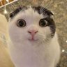 DziurawyKapeć's profile picture