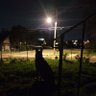 Фото профиля H̵a̷i̴l̸m̸a̴r̴y̴ ̵