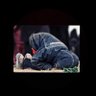 Profilbild von observantobserver