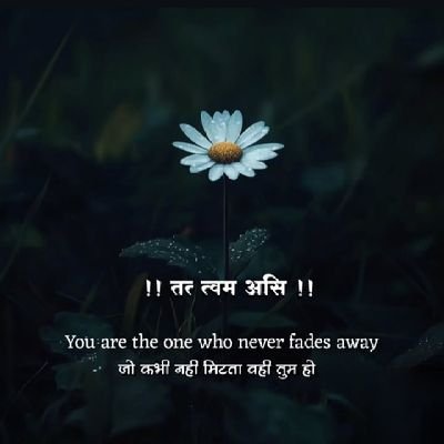 Arpitayadav02's profile picture
