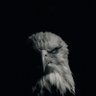 Divine🤍's profile picture