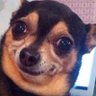 Fingolfinn's profile picture