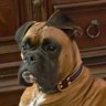 Sharon Graves's profile picture