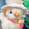 ひよこのまま🐤 的头像