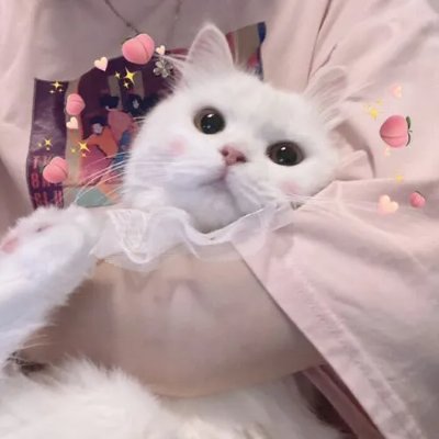 Banzapitshou1's profile picture