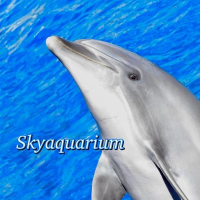 Skyaquarium's profile picture