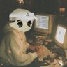 tigintern (𝔦, 𝔦)'s profile picture