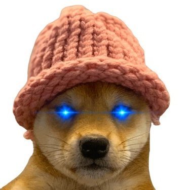 Param's profile picture