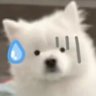 kuta 的头像