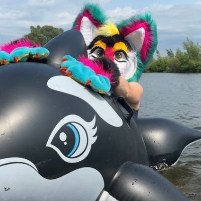 Alla Alex's profile picture