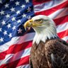 Фото профиля American Patriot ☆
