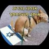 Antisio's profile picture