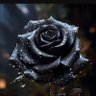 WinterRose Moreau profil fotoğrafı