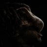 Profilbild von PHILXRD