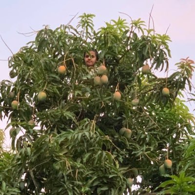 alifrag123's profile picture