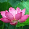 泽善 的头像