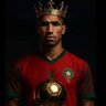 Ayoub ML's profile picture