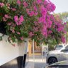 Profilbild von نور غالب