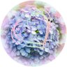 suแฆmi's profile picture