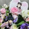 黛专夹子's profile picture