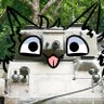 Фото профиля M22 locust Airbone (Furry🐾🇵🇦)
