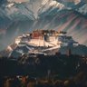真冒烟 profil fotoğrafı
