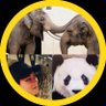 🐘けい🐼🌻💛 profil fotoğrafı