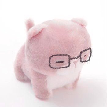 오렝's profile picture
