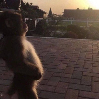 estevinfn's profile picture