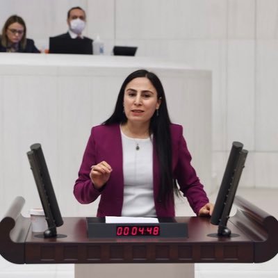 Ayşe Sürücü's profile picture