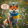apricothdaenya's profile picture