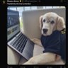 Engineer's profile picture