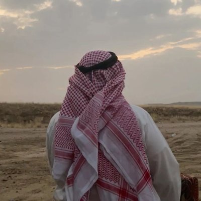 سلطان's profile picture