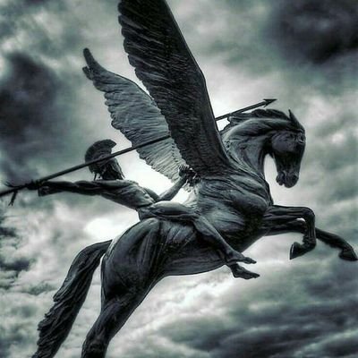 Belerofonte48's profile picture