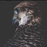 #جـ's profile picture