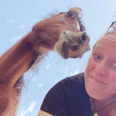 ProNouk's profile picture