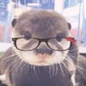 Lacinda's profile picture