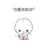 什么都是假的只有痛苦是真的 profil fotoğrafı