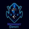 Nishant Gamer3's profile picture