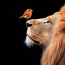 عزازيل profil fotoğrafı