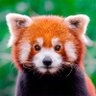ArtosPortos profil fotoğrafı