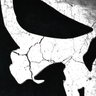 Profilbild von Castle